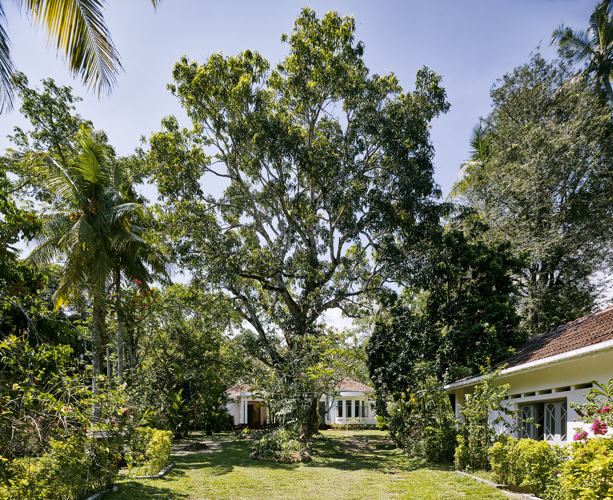 E15550 · Ridee Kanda